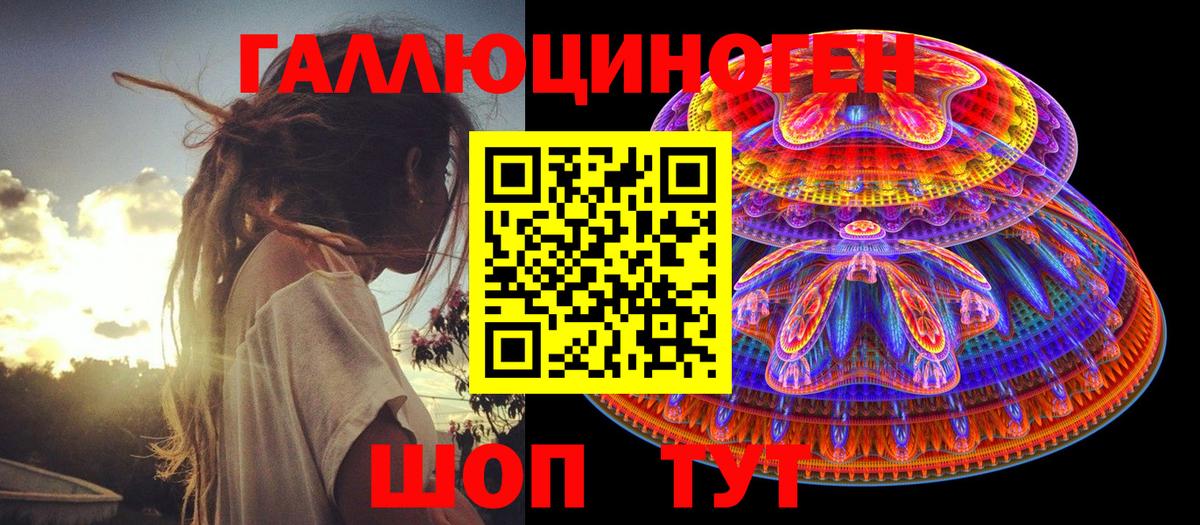 где купить наркотик  Вход с VPN  Чехов  Псилоцибиновые грибы GOLDEN TEACHER 